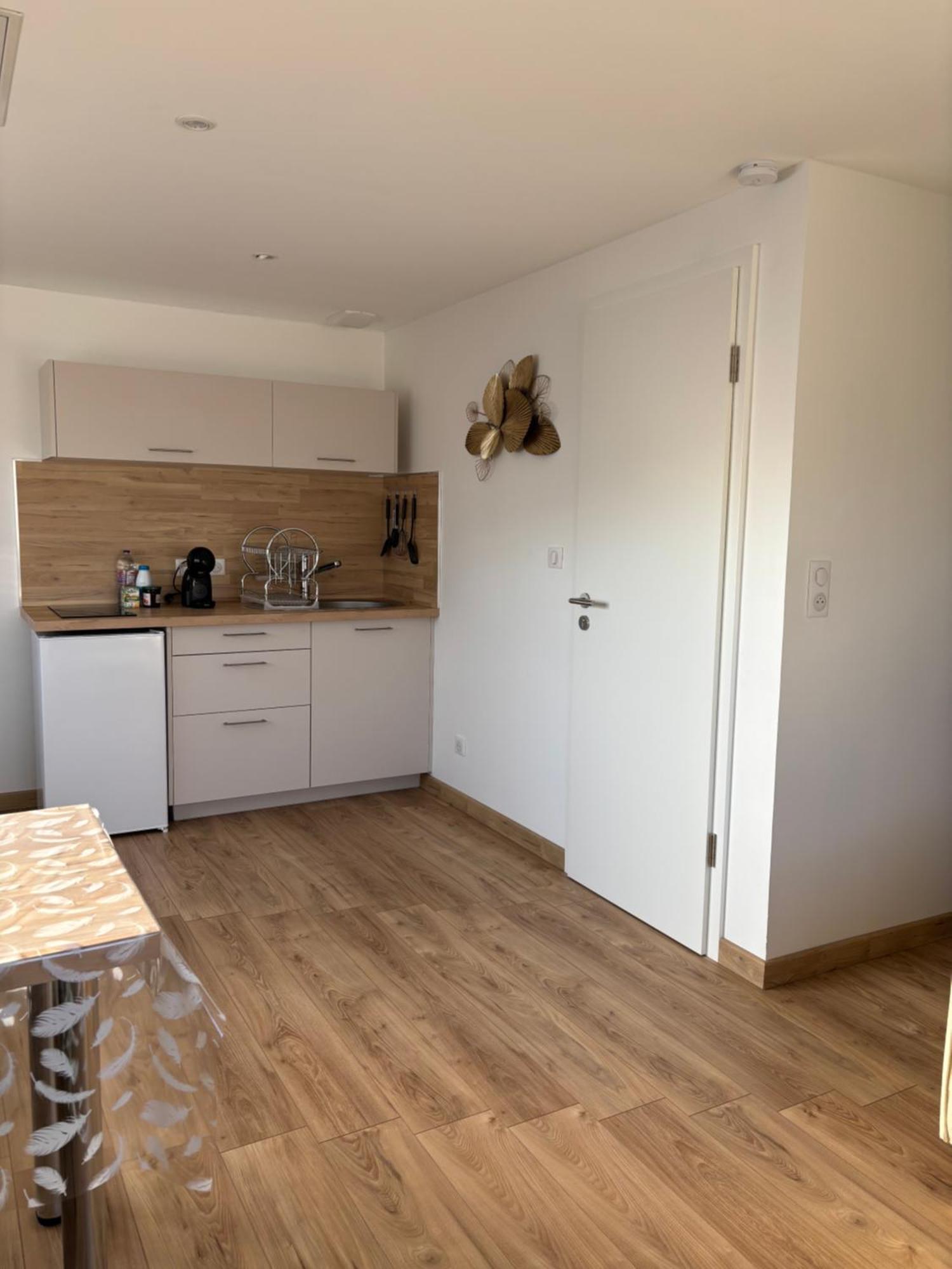 Appartement Les Petites Plumes D'Hag à Haguenau Extérieur photo
