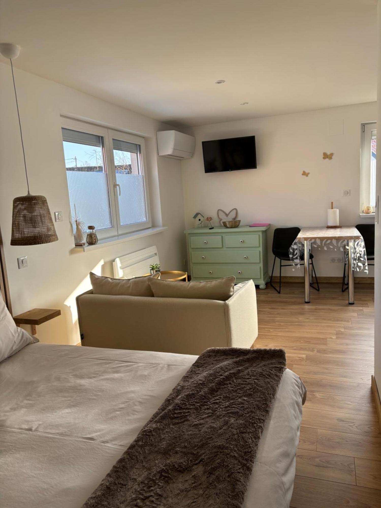 Appartement Les Petites Plumes D'Hag à Haguenau Extérieur photo